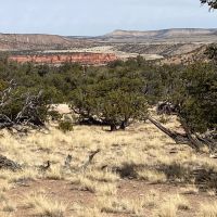 Red Canyon Ranch Lot 14 images 4
