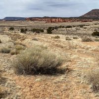 Red Canyon Ranch Lot 14 images 5