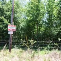 Harris - 304 ac - Perry County Hunting tract images 2