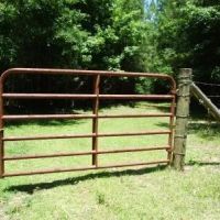 Harris - 304 ac - Perry County Hunting tract images 5