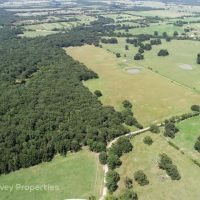 Deport 134 Acres images 5