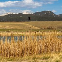 Big Hole Riverbend images 5