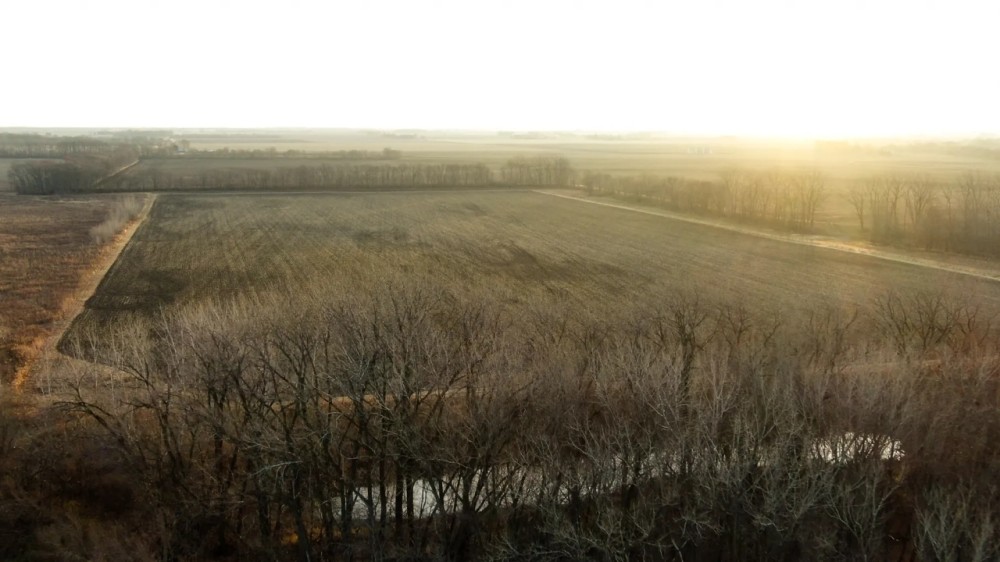 Menard County Illinois 95 Acres of Land For Sale featured image