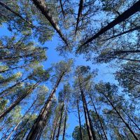 101 Acres in Lafayette County MS