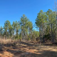 101 Acres in Lafayette County MS images 2