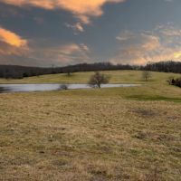 Well-Fenced Productive Pasture Tract Home And Lake images 4