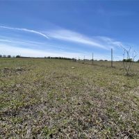 Price Reduction 38.45 Ac CR 327 Gorman images 2