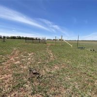 Price Reduction 38.45 Ac CR 327 Gorman images 4