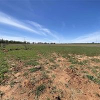 Price Reduction 38.45 Ac CR 327 Gorman images 5
