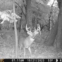 TBD Highway 24 Keytesville Missouri images 2