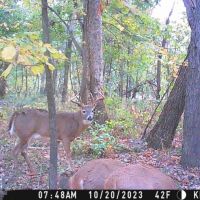 TBD Highway 24 Keytesville Missouri images 3