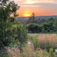 8858 N Cane Break Road Atoka OK 1 649 Acres