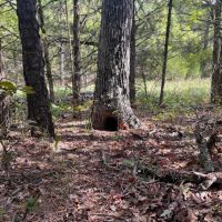 8858 N Cane Break Road Atoka OK 1 649 Acres images 5