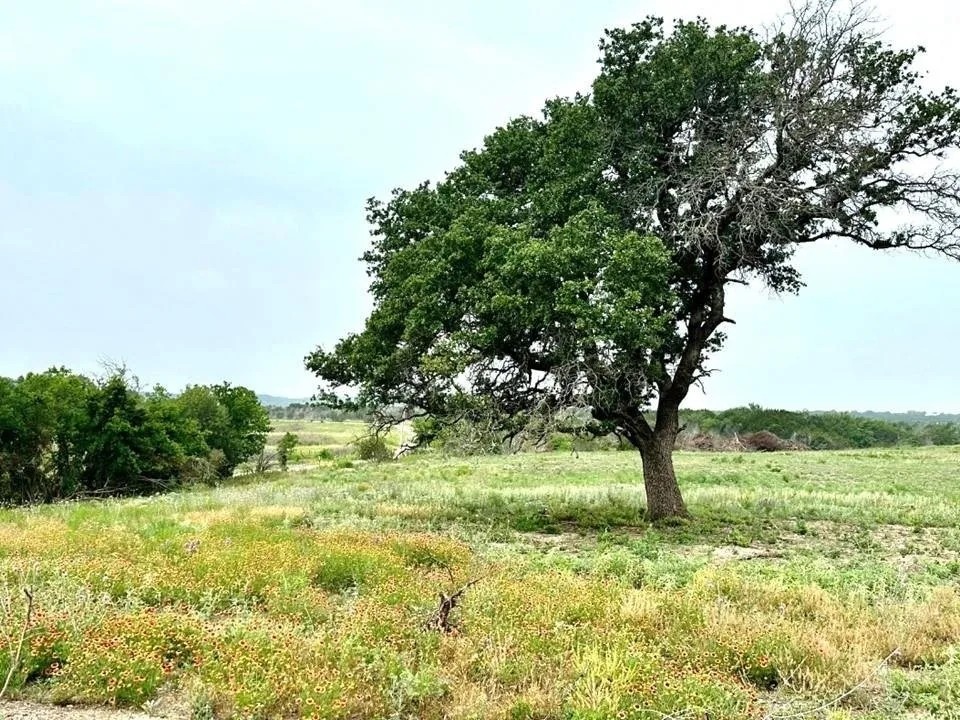 118 Glen Rose TX featured image