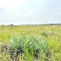 118 Glen Rose TX images 2
