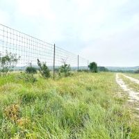 118 Glen Rose TX images 3