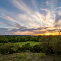 Young Ranch images 3