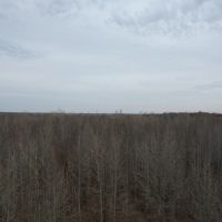 Farm and Recreational Land in Craighead County AR images 4