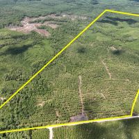 448 Acres The Game Preserve