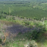135 - acres Meriwether County images 2