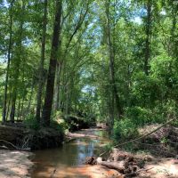 135 - acres Meriwether County images 3