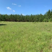 135 - acres Meriwether County images 5
