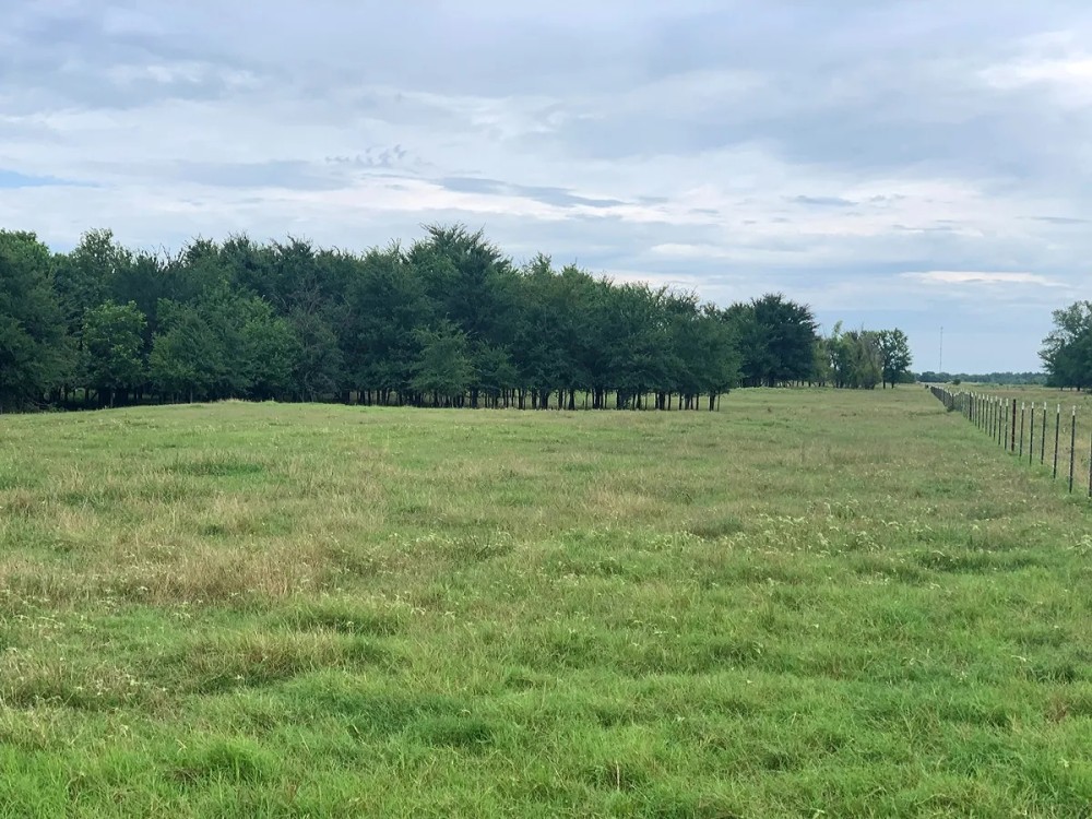 206.13 Acre Oklahoma Cattle Ranch Coalgate OK featured image