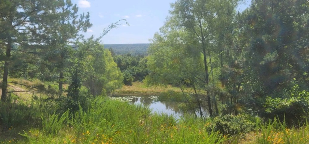 JOSLIN RIDGE RANCH featured image