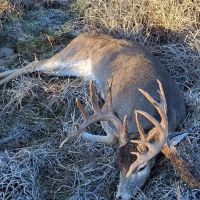 JOSLIN RIDGE RANCH images 3