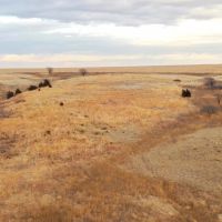77.10 - Acre CRP Property in Norton County KS
