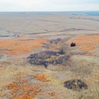 77.10 - Acre CRP Property in Norton County KS images 3