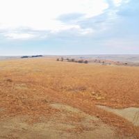 77.10 - Acre CRP Property in Norton County KS images 4