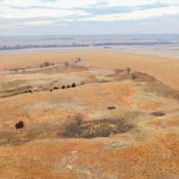 77.10 - Acre CRP Property in Norton County KS images 5