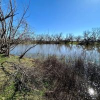 New Listing 9.6 - Acres Taylor County images 4