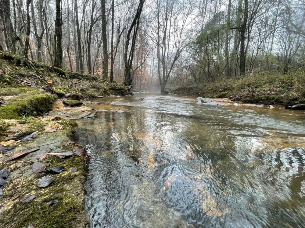 412 - ac Cane Creek amp Hardwoods featured image