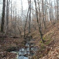 412 - ac Cane Creek amp Hardwoods images 2
