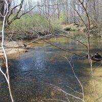 412 - ac Cane Creek amp Hardwoods images 3