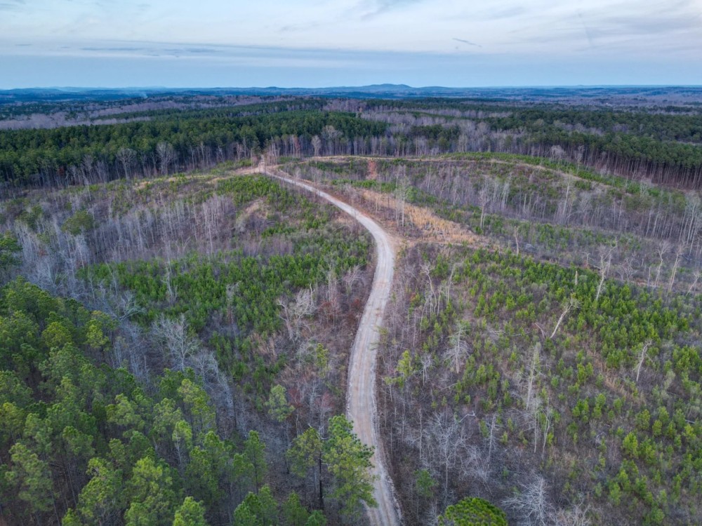 40 - Acres Coosa County featured image