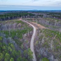 40 - Acres Coosa County