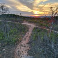 40 - Acres Coosa County images 2