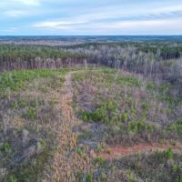 40 - Acres Coosa County images 3