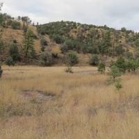 Grant County NM Gila National Forest Inholding Tracts images 2