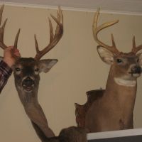 North East Kentucky Deer rifle season Zone 2