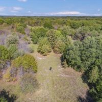 Beautiful 154 Acres in Henderson County images 2