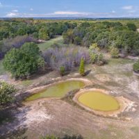 Beautiful 154 Acres in Henderson County images 3
