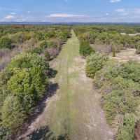 Beautiful 154 Acres in Henderson County images 4