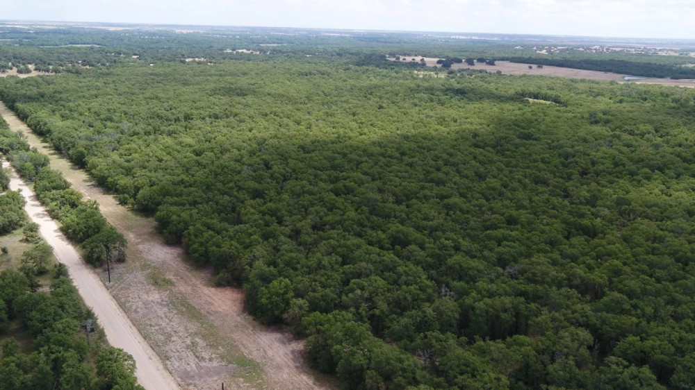 10 Acres in Milam County featured image