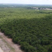 10 Acres in Milam County