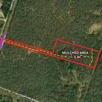 10 Acres in Milam County images 2