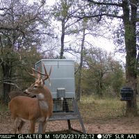 10 Acres in Milam County images 3
